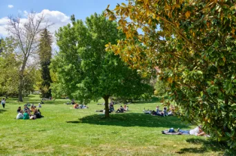 Photo TOULOUSE by VIET - Jardin des plantes