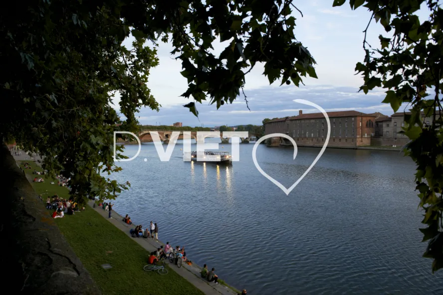 Photo TOULOUSE by VIET - Daurade Garonne pont neuf