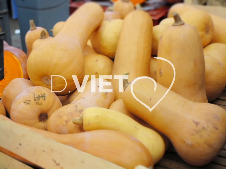 Photo TOULOUSE by VIET - Marché Saint Aubin Courges