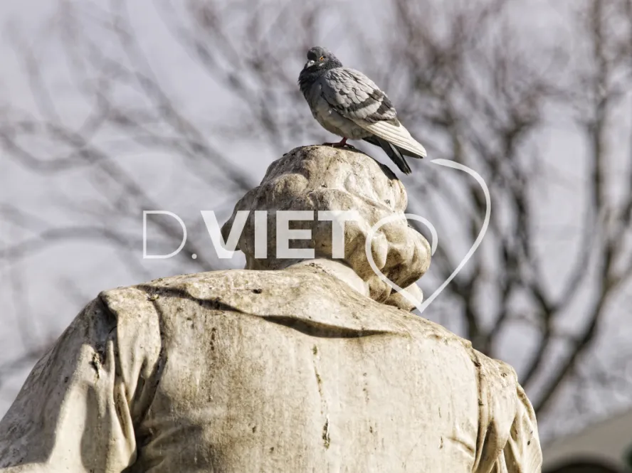 Photo TOULOUSE by VIET - Statue de la Place Wilson