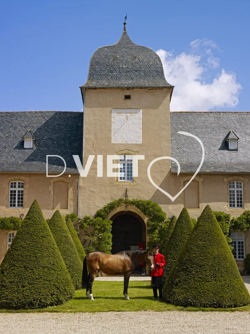 Photo TOULOUSE by VIET - Haras de Rodez