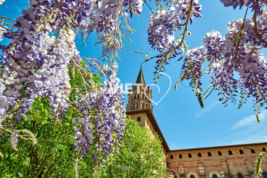 Photo TOULOUSE by VIET - Place de Saint-Sernin