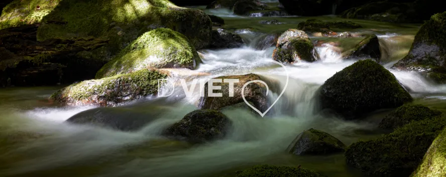 Photo TOULOUSE by VIET - cascade foret