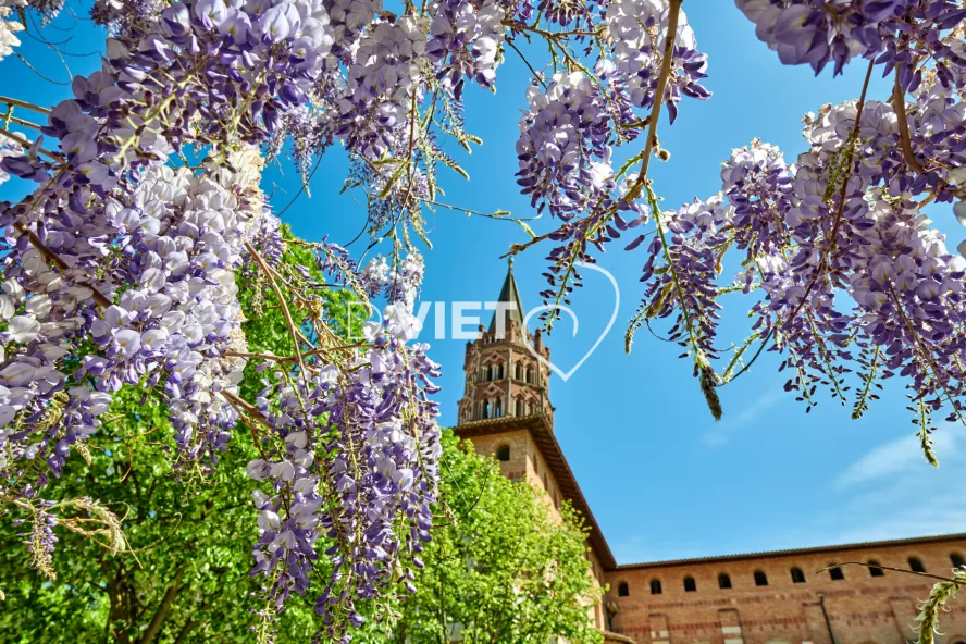 Photo TOULOUSE by VIET - Place de Saint-Sernin