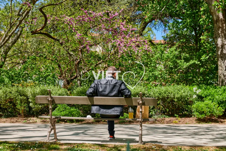 Photo TOULOUSE by VIET - Jardin Royal