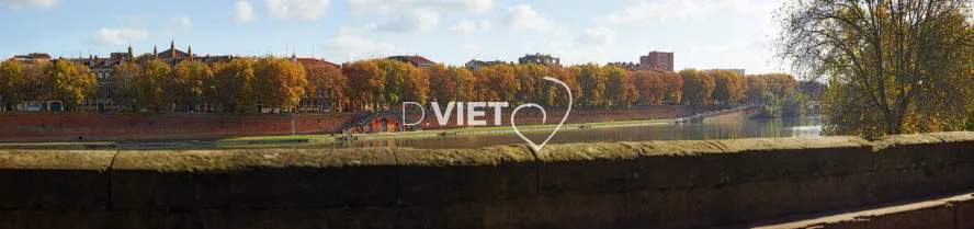 Photo TOULOUSE by VIET - Pont Neuf quais de Tounis