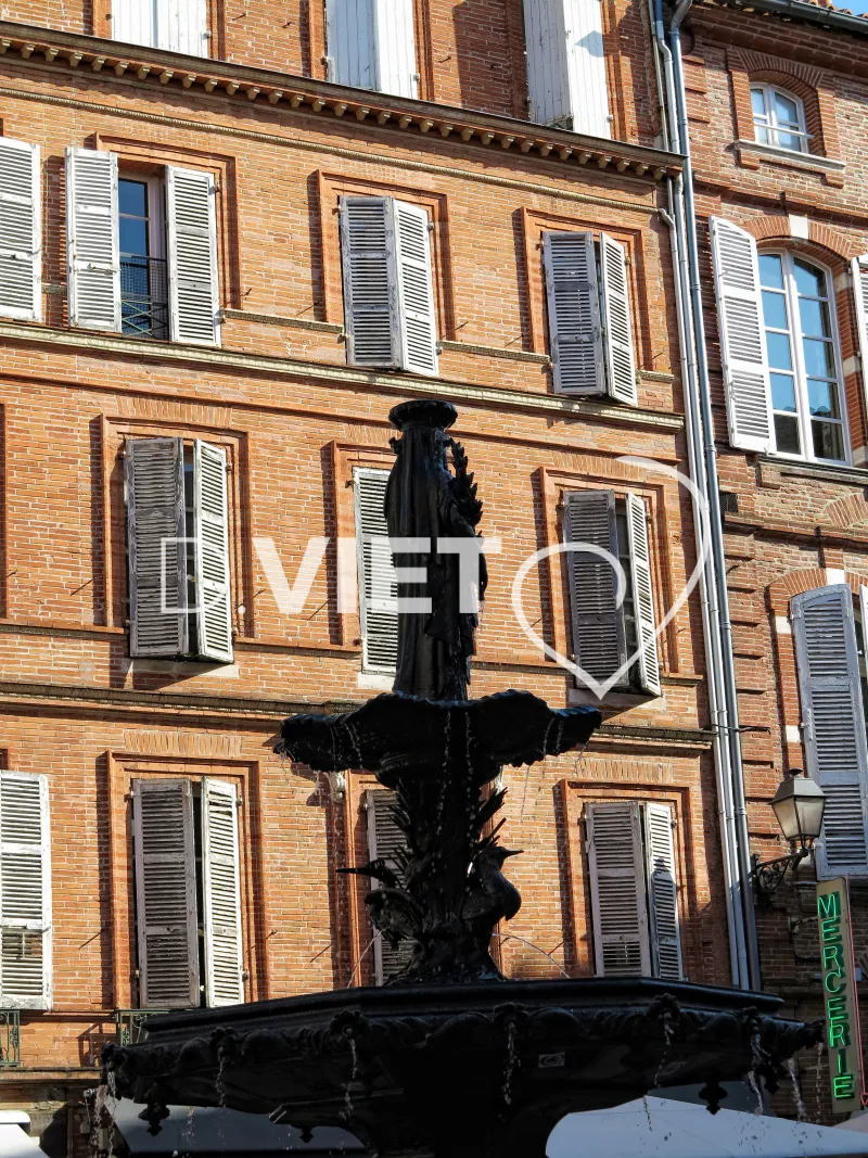 Photo TOULOUSE by VIET - Place salengro
