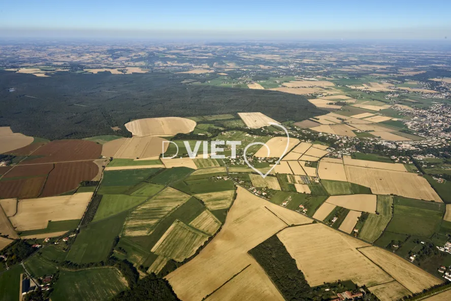 Photo TOULOUSE by VIET - FORET DE BOUCONNE