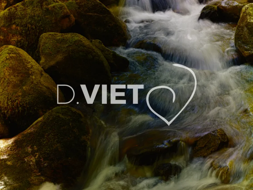 Photo TOULOUSE by VIET - cascade foret