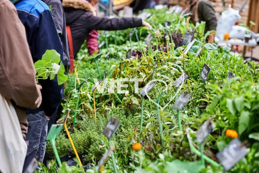 Photo TOULOUSE by VIET - VIET_008895