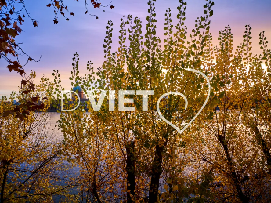 Photo TOULOUSE by VIET - ST CYPRIEN Abbatoirs