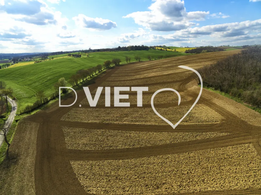 Photo TOULOUSE by VIET - TRACES