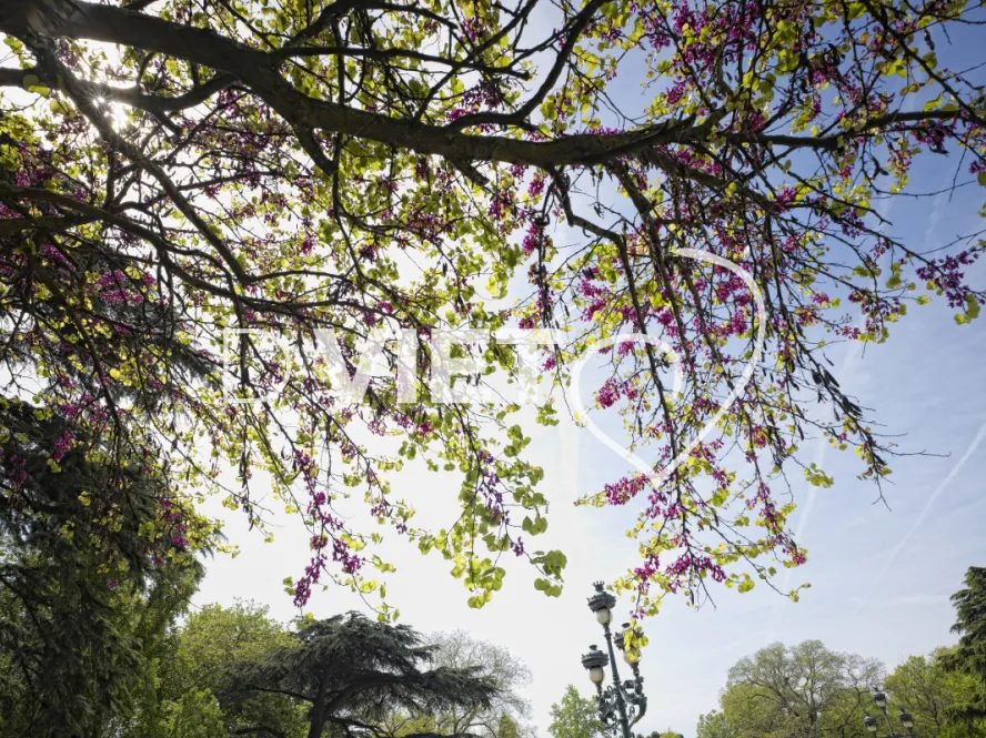 Photo TOULOUSE by VIET - Jardin des plantes