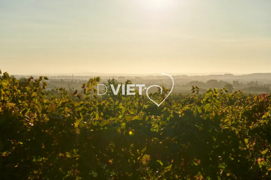 Photo TOULOUSE by VIET - Chemin de Sainte-Valière