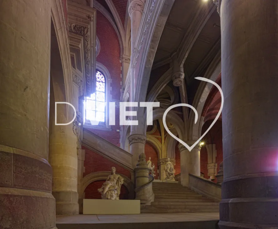 Photo TOULOUSE by VIET - Les augustins