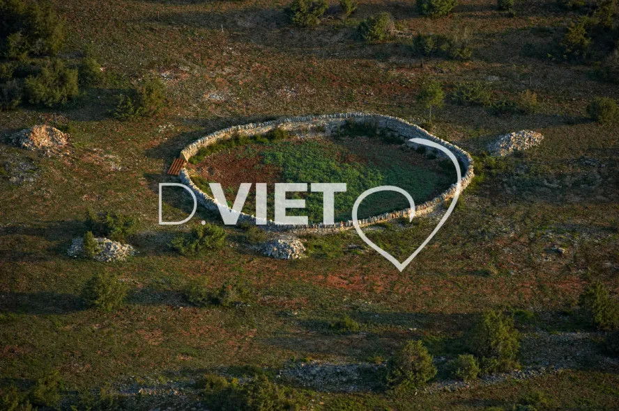 Photo TOULOUSE by VIET - Vaches et murs