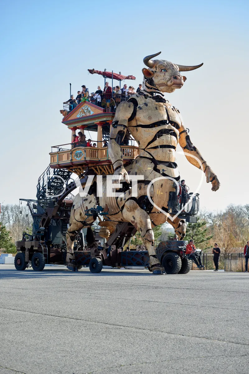 Photo TOULOUSE by VIET - LA HALLE DE LA MACHINE