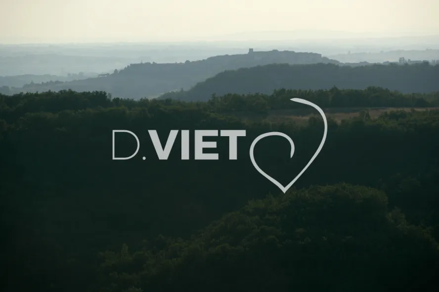 Photo TOULOUSE by VIET - 81 CASTELNAU de MONTMIRAIL N43°57549 E001°49111 ©VIET 361.com