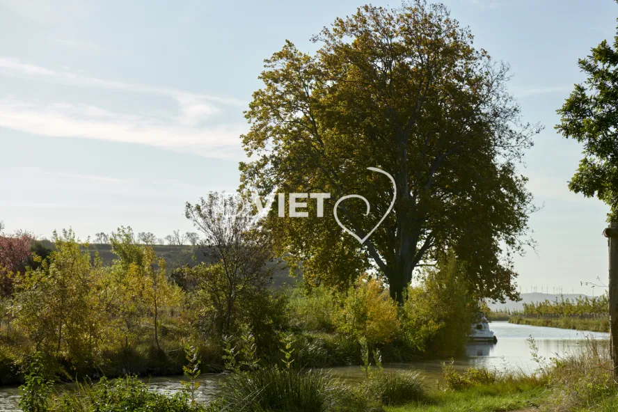 Photo TOULOUSE by VIET - REPRUDE