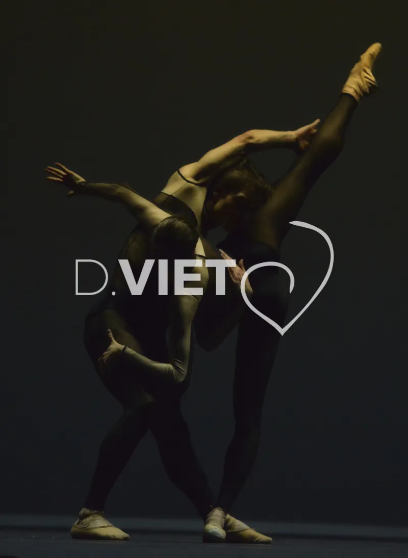 Photo TOULOUSE by VIET - Ballet du capitole