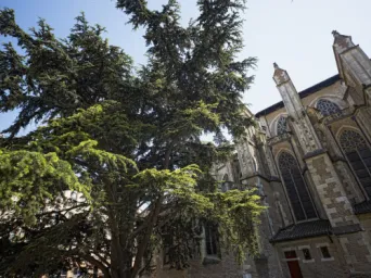 Photo TOULOUSE by VIET - Place Saint Etienne