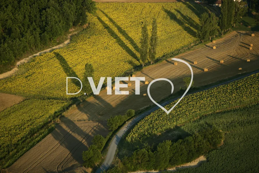 Photo TOULOUSE by VIET - 81ENTRE CORDES ET ALBI N44°00381 E001°59478 ©VIET 361.com