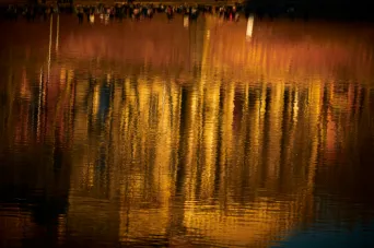 Photo TOULOUSE by VIET - Garonne Les quais