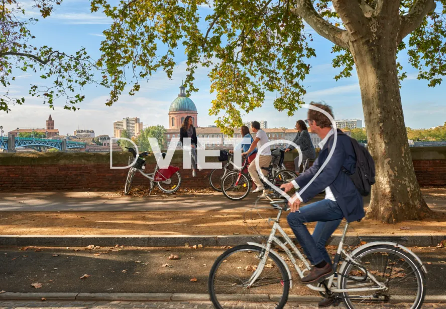 Photo TOULOUSE by VIET - VELO VISITE GUIDE