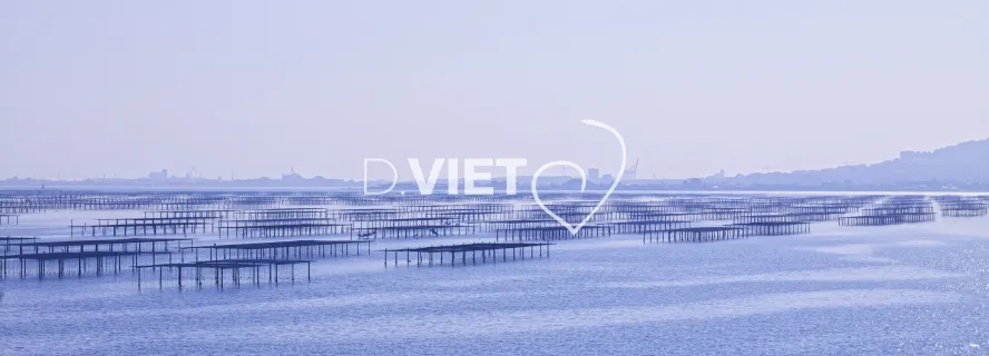 Photo TOULOUSE by VIET - parcs à huitres