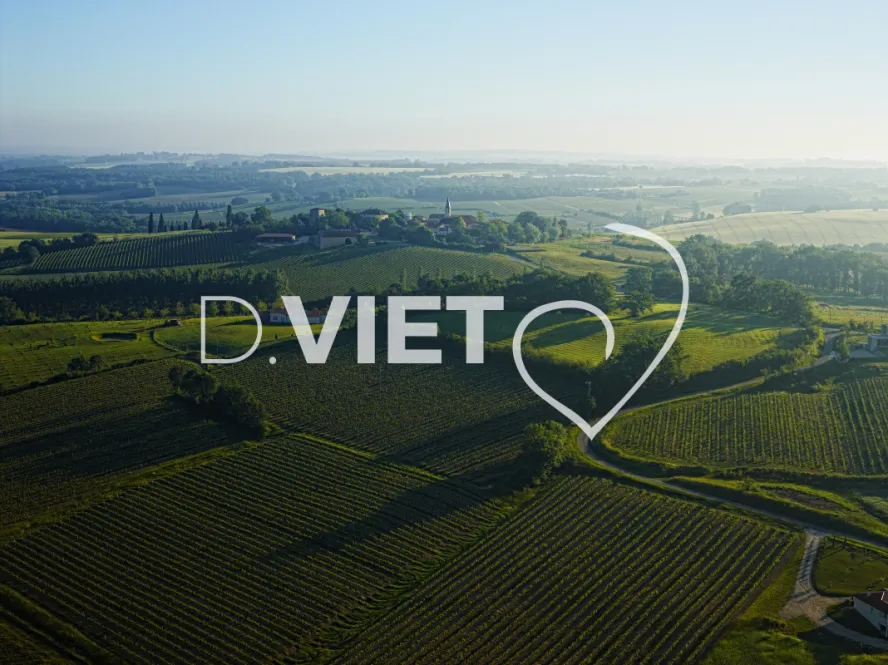 Photo TOULOUSE by VIET - Armagnac