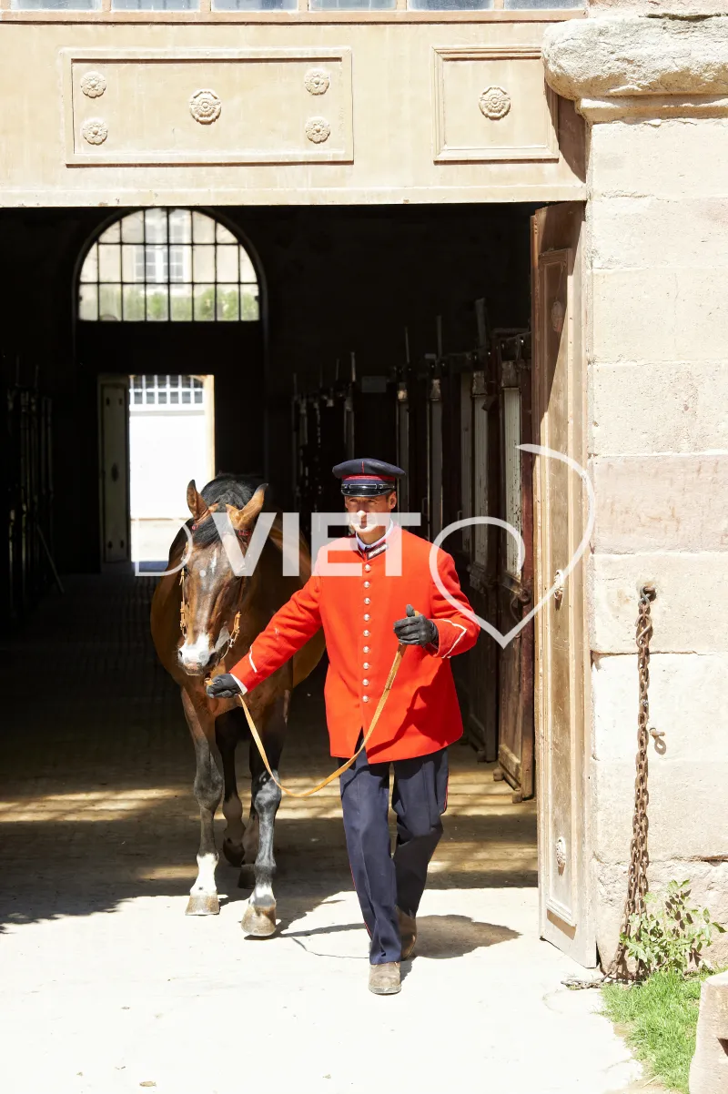 Photo TOULOUSE by VIET - Haras de Rodez