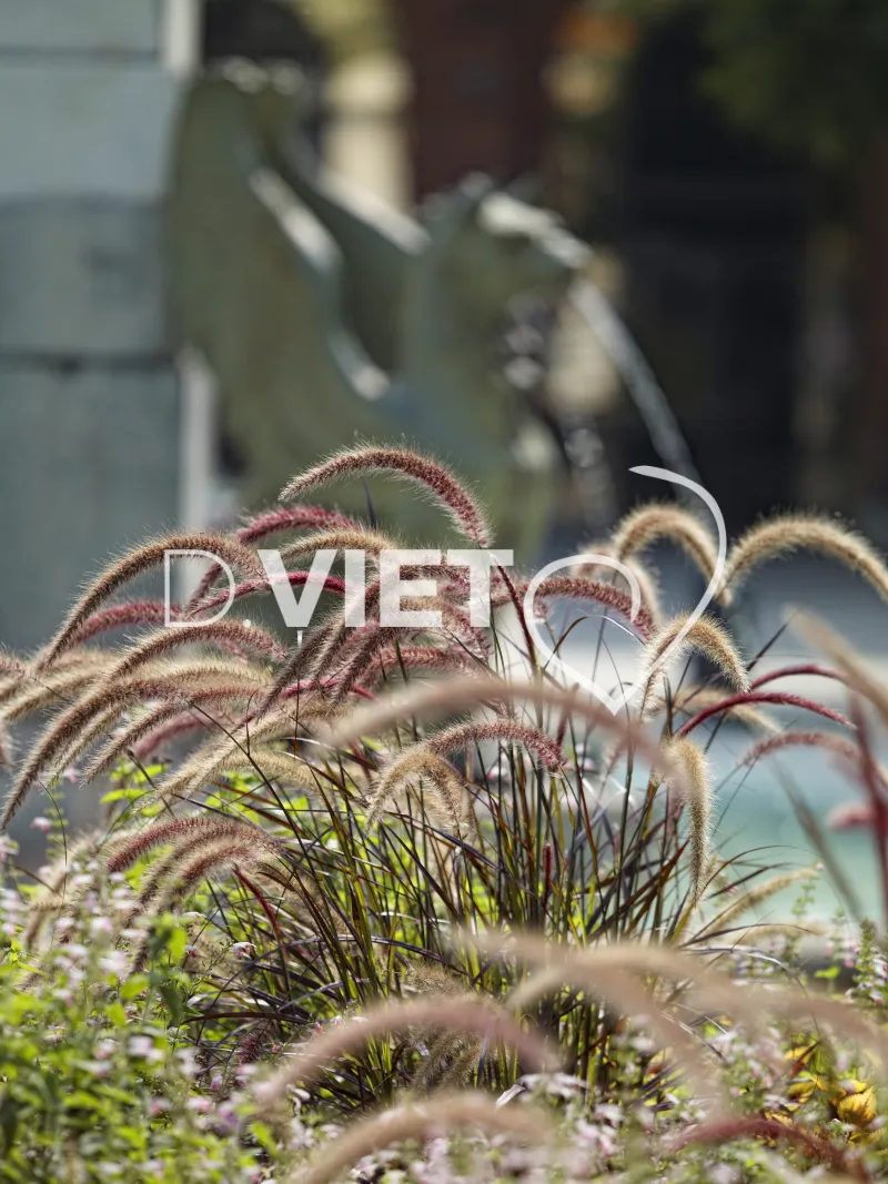 Photo TOULOUSE by VIET - La fontaine Dupuy