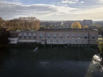 Photo TOULOUSE by VIET - Garonne et ramier