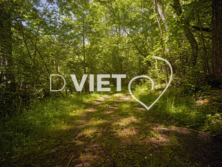 Photo TOULOUSE by VIET - chemin