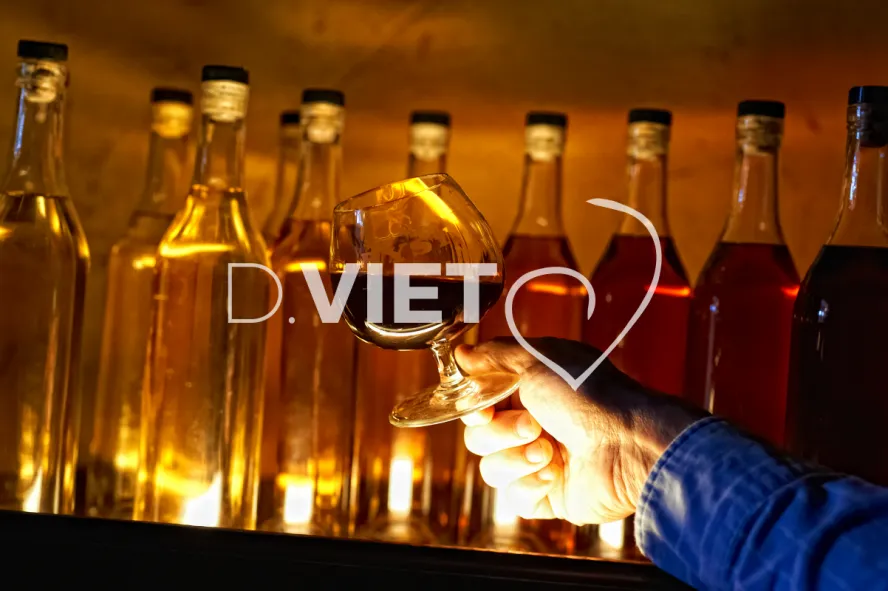 Photo TOULOUSE by VIET - Condom