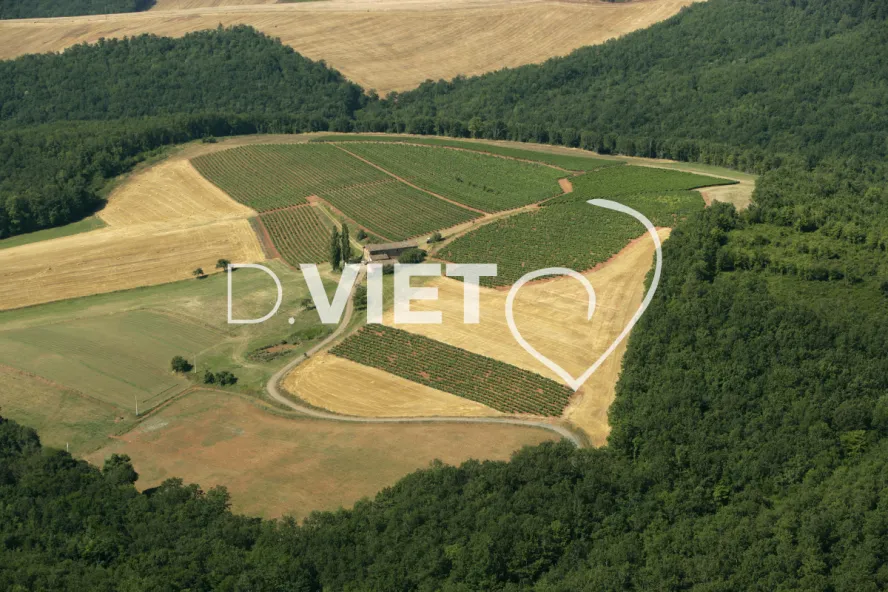 Photo TOULOUSE by VIET - 81VERS CASTELNAU N44°01268 E001°45384 ©VIET 361.com
