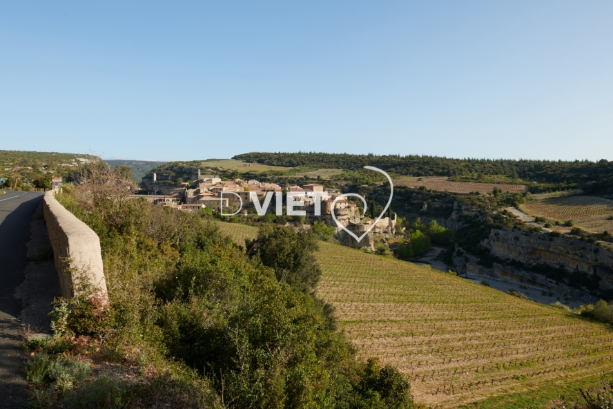 Photo TOULOUSE by VIET - MINERVE