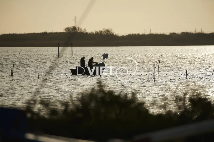 Photo TOULOUSE by VIET - PHARE DES ONGLOUS