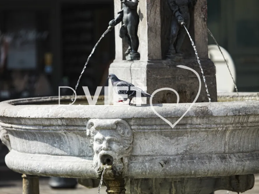 Photo TOULOUSE by VIET - La fontaine Saint-Etienne