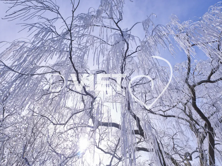 Photo TOULOUSE by VIET - VIET_008041