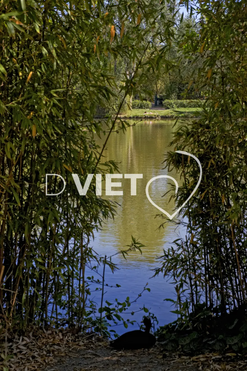 Photo TOULOUSE by VIET - Compans Caffarelli