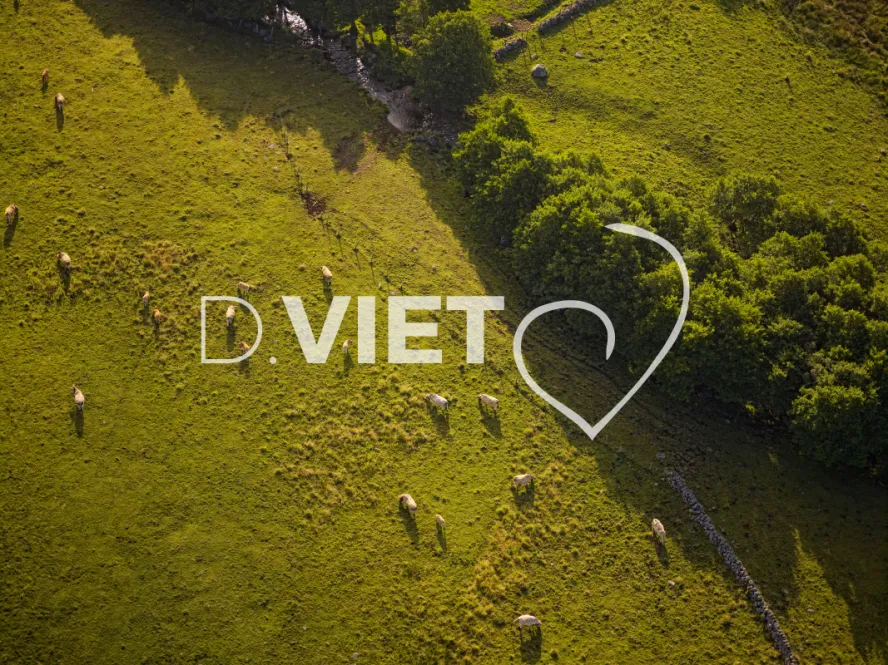 Photo TOULOUSE by VIET - Laguiole