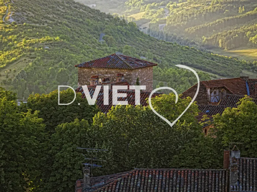 Photo TOULOUSE by VIET - VIET_003130