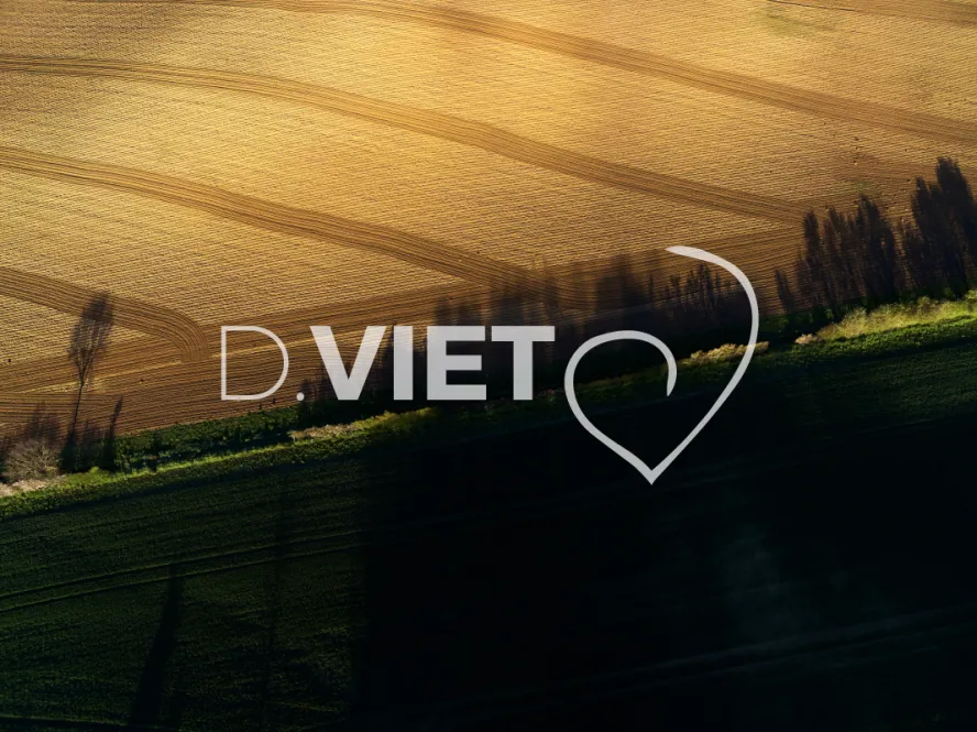 Photo TOULOUSE by VIET - TRACES