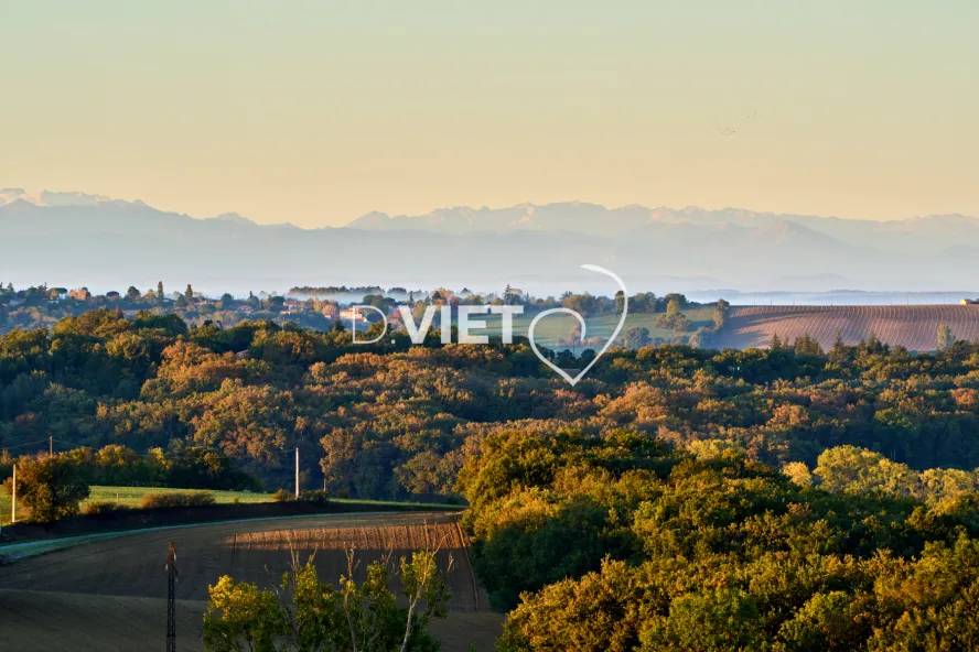 Photo TOULOUSE by VIET - MERVILLA