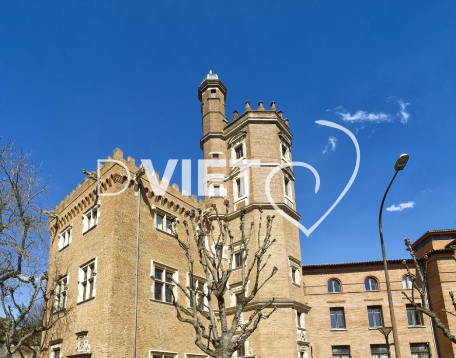 Photo TOULOUSE by VIET - Hôtel Dahus