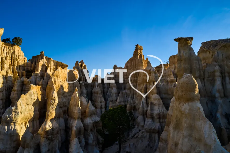 Photo TOULOUSE by VIET - Les Orgues Ille sur TET