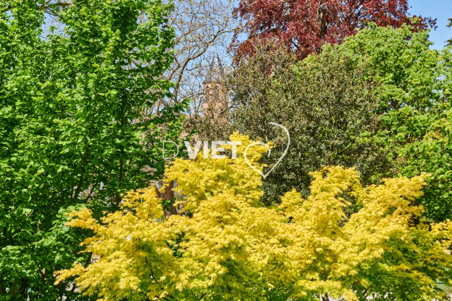 Photo TOULOUSE by VIET - Jardin des plantes