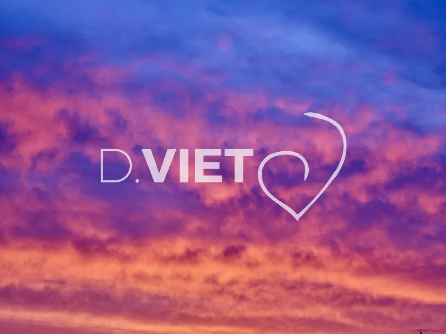 Photo TOULOUSE by VIET - VIET_008047