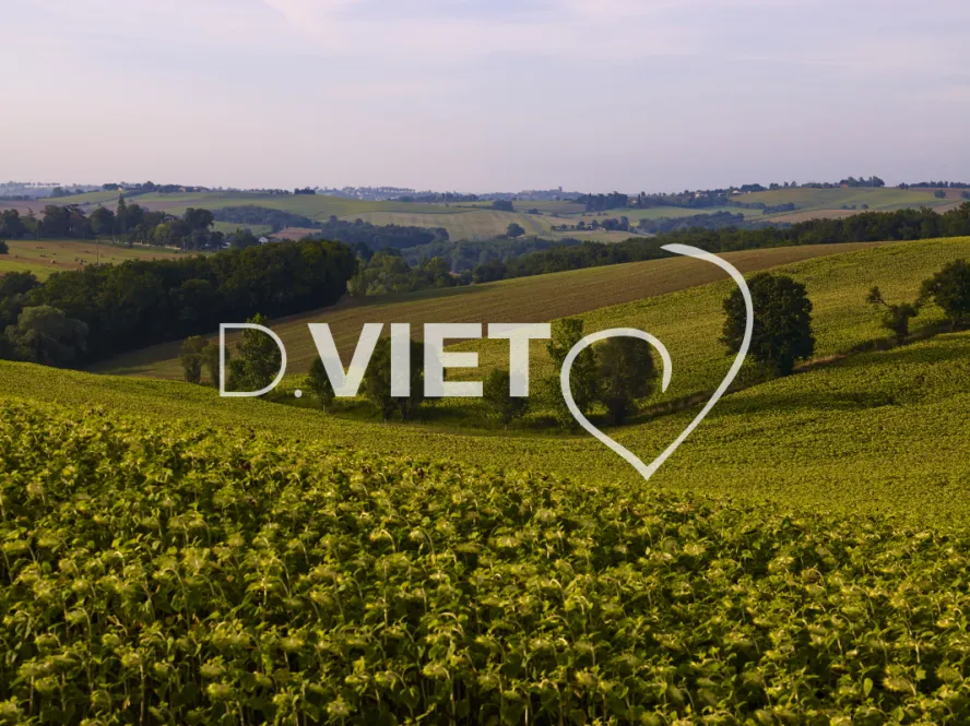 Photo TOULOUSE by VIET - VIET_008033